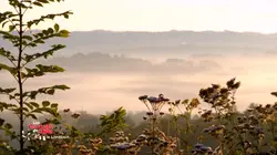 Les carnets de Julie  La Corrèze, dans le Limousin