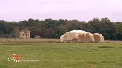 Les carnets de Julie Les bords de Marne