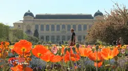 Les carnets de Julie Paris et ses jardins