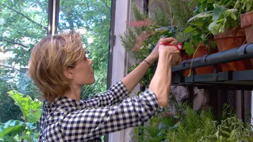 Les carnets de Julie S05E03 Le gratin dauphinois