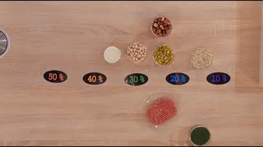 La cuisine végétarienne