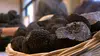 Les saveurs de la truffe