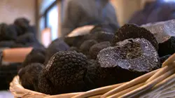 Les carnets de Julie S04E16 Les saveurs de la truffe