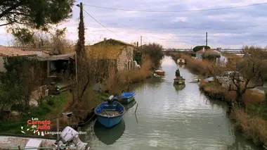 Le pays montpelliérain, dans le Languedoc-Roussillon.