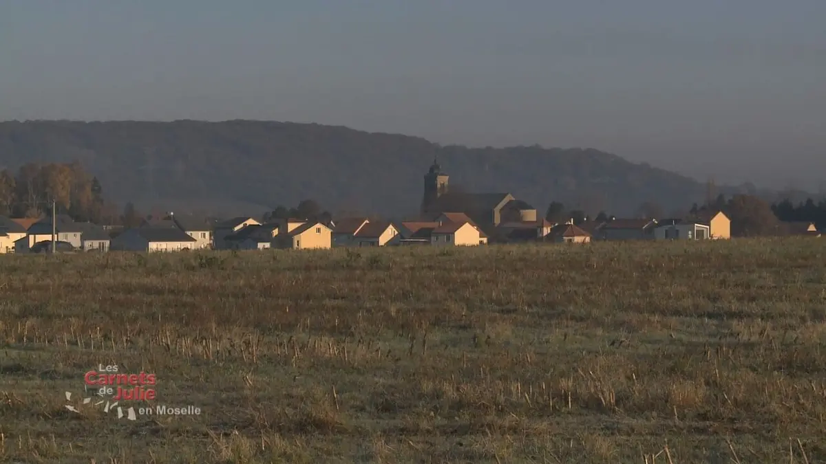 Les carnets de Julie Le pays messin, en Moselle