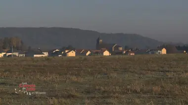 Les carnets de Julie