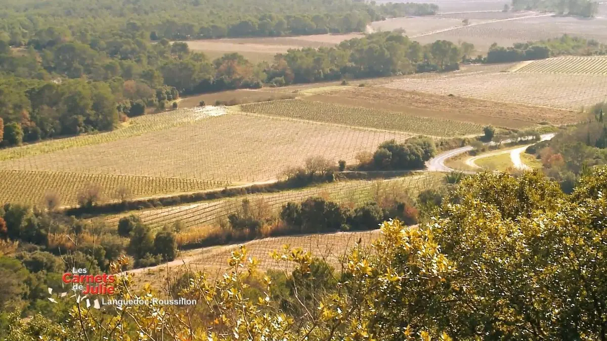 Les carnets de Julie S02E12 Le pays montpelliérain, dans le Languedoc-Roussillon.