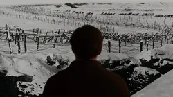 Les Carnets de Siegfried