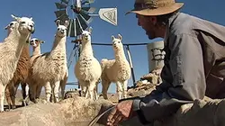 Les carnets du bourlingueur