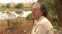 Les carnets du bourlingueur