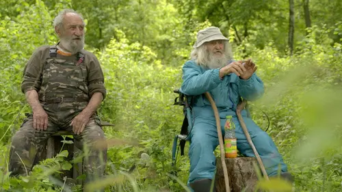 Les Carpates : le royaume des vieux vagabonds