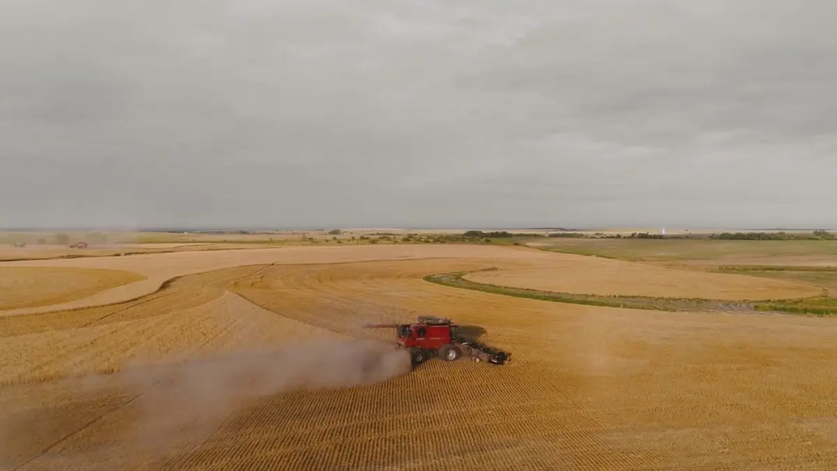 Les cartes du pouvoir