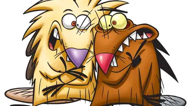 Les castors allumés