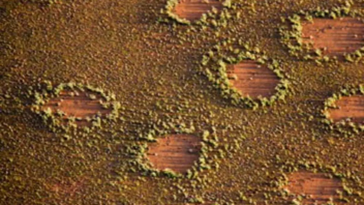 Les cercles de fées du Namib