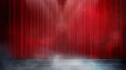 Les champions du cuistax