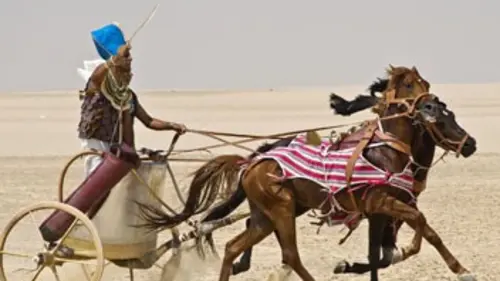 Les chars des pharaons