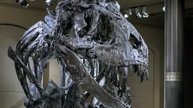 Les chasseurs de dinosaures : à la recherche des monstres de la Préhistoire
