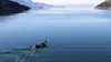 Les châtaignes du lac de Shkodër au Monténégro