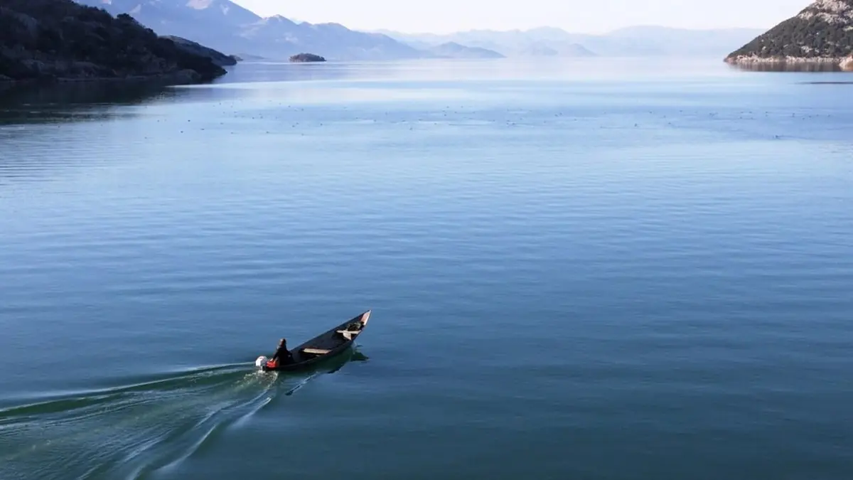 Les châtaignes du lac de Shkodër au Monténégro