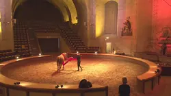 Les châteaux de France