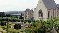 Visuel de Les châteaux de la Loire