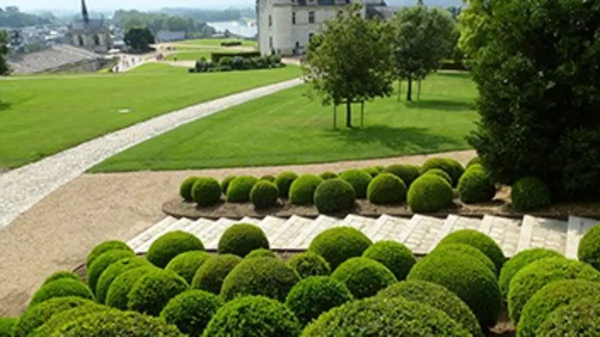 Les châteaux de la Loire E04 Le château d'Amboise : l'esprit de la Renaissance