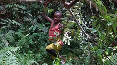 Mabally, Cameroun
