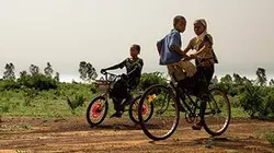 Visuel de Les chemins de l'école