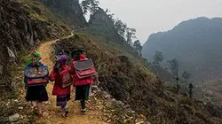 Visuel de Les chemins de l'école