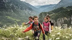 Visuel de Les chemins de l'école
