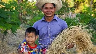 Le riz de Thaïlande