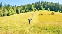 Les chemins du sacré