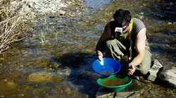 Les chercheurs d'or La ruée vers l'or