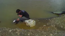 Les chercheurs d'or C'est mon job !