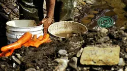 Les chercheurs d'or Le fiasco