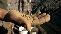 Les chercheurs d'or C'est mon job !