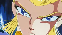 Les chevaliers du zodiaque