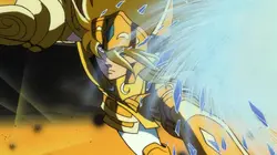 Les chevaliers du zodiaque