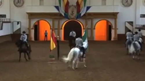 Les chevaux andalous