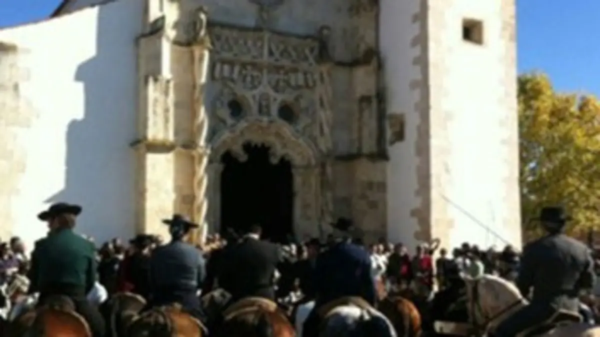 Les chevaux de Golega