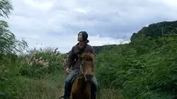 Visuel de Les chevaux de la cité engloutie