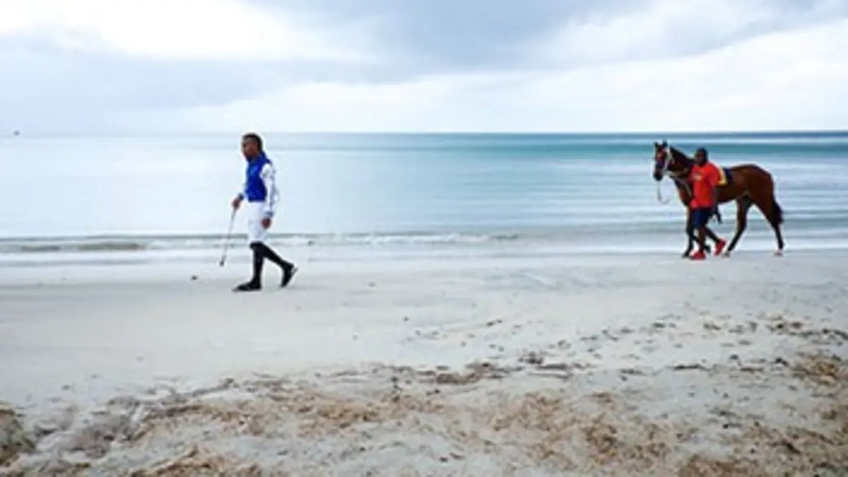 Les chevaux de la providence