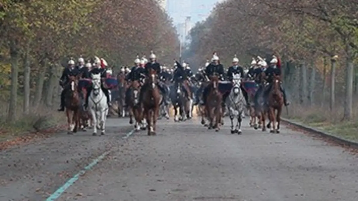 Les chevaux de la République