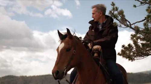 Les chevaux du nouveau monde