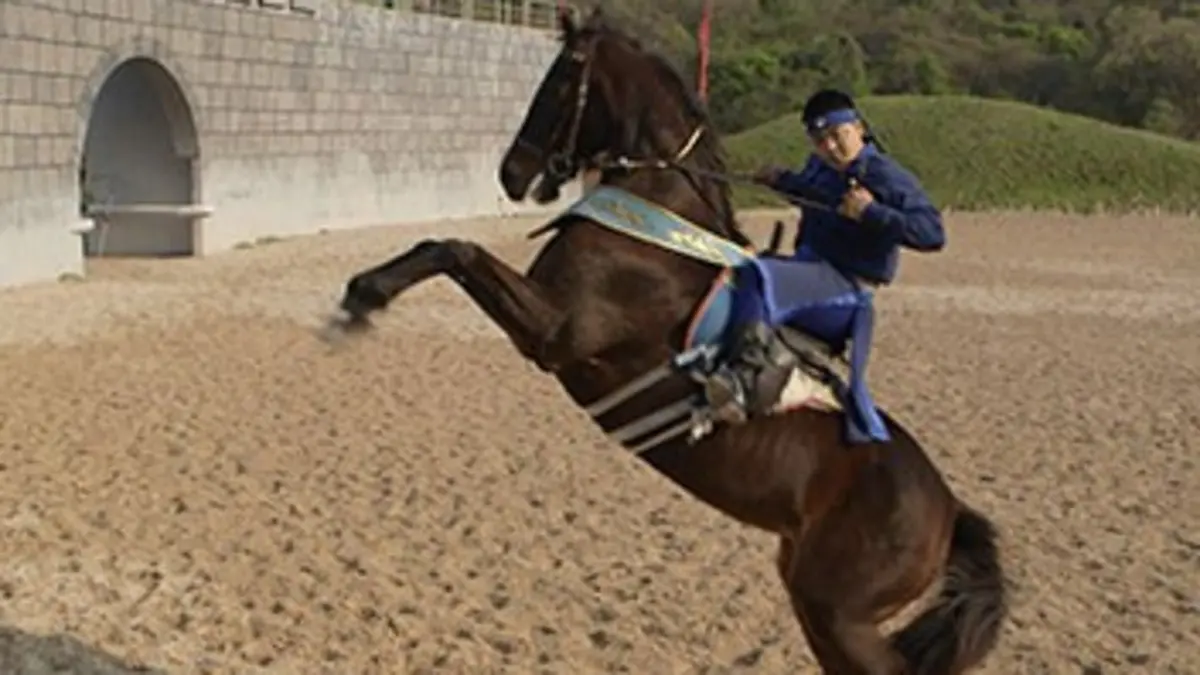 Les chevaux du volcan