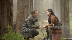 Visuel de Les chroniques de Shannara