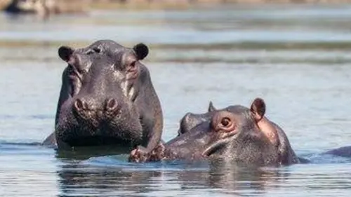 Épisodes de Les chutes Victoria : Le jardin d'Éden