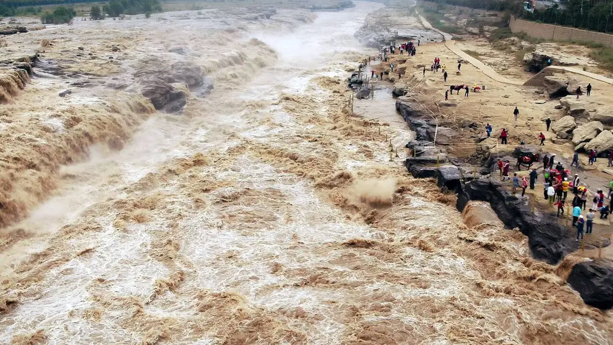 Les cinq éléments du tao, élixirs de vie