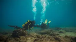 Les citées perdues avec Albert Lin