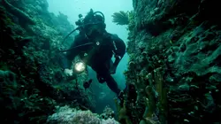 Les cités perdues d'Albert Lin  La cité fantôme du Pacifique